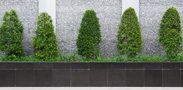 Landscape Design Toronto